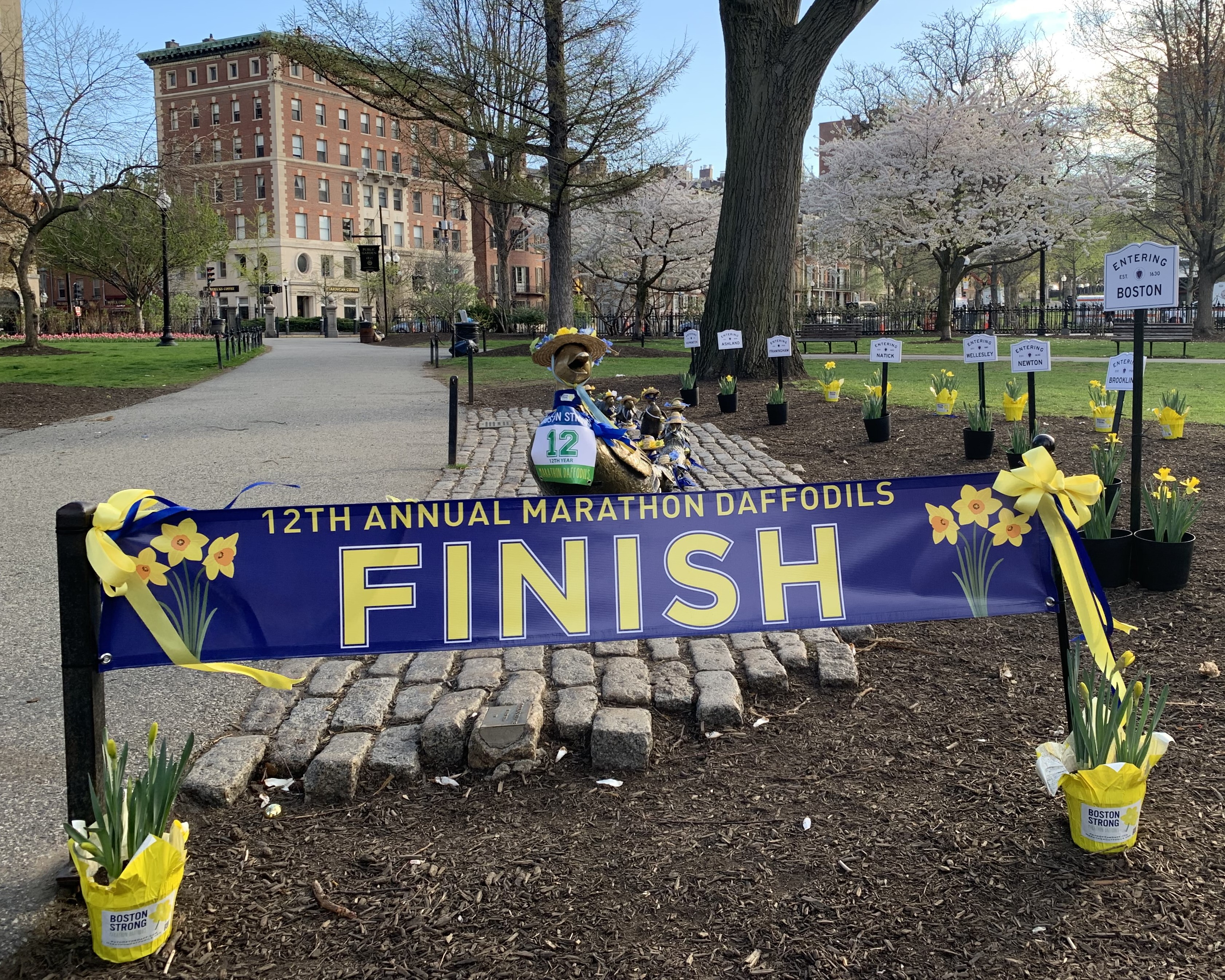 Bild konnte nicht geladen werden